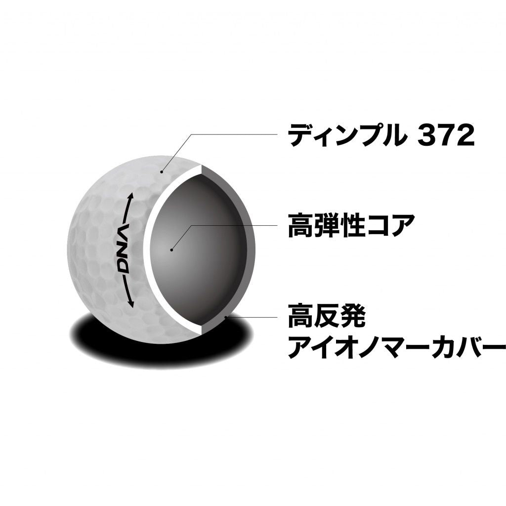NEW] Golf Ball Kasco DNA Design for New Athletes Dozen Japan